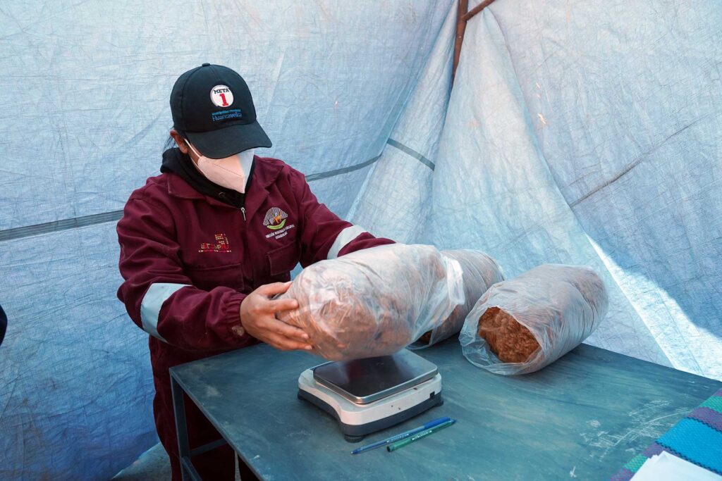 Comunidades de Huaytará reviven tradicional chaccu de vicuñas