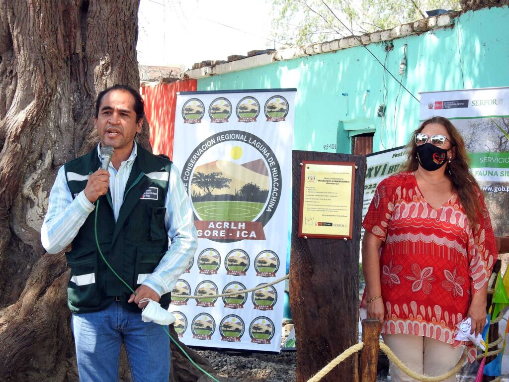 Huarango de 600 años es reconocido como árbol patrimonial en Nasca