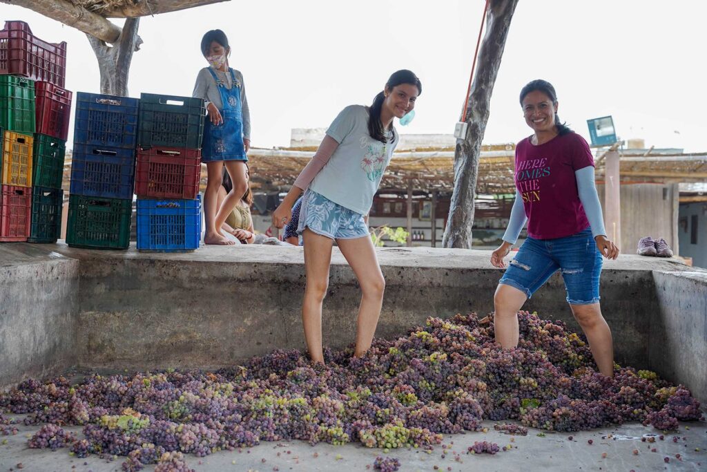 Retorna la fiesta del vino, el pisco y el amor